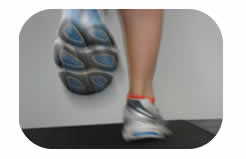 Picture of trainers on a treadmill